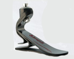 假肢價格是由什么決定的呢?(圖1) 假肢價格是由什么決定的呢?(圖1)